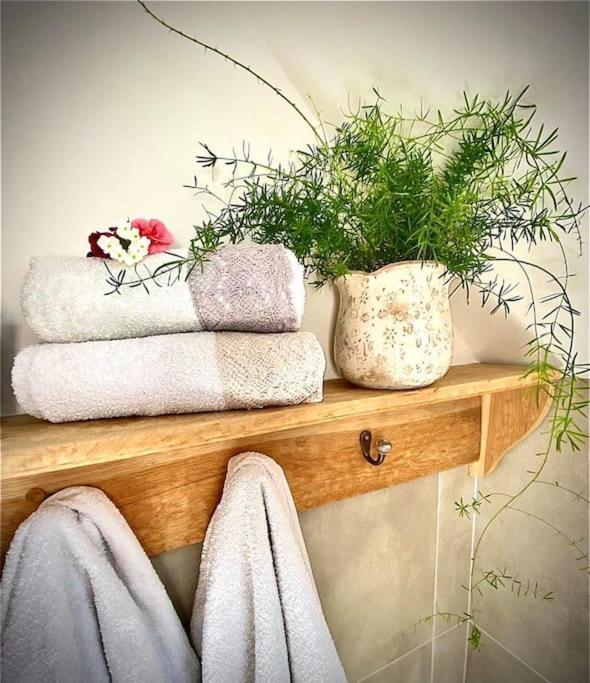 Dobre Casy - Studio I. Banská Štiavnica エクステリア 写真